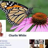 Facebook Timeline: How to Enable it With One Click